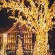 Calming Christmas Meditation