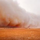 Desert Wind