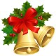 For Christmas